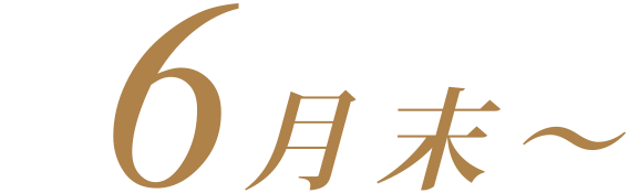 6月末〜